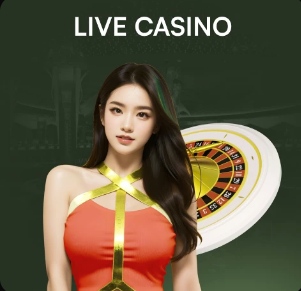 斯基拉：纽卡、热刺球探考察亚特兰大外租边卫帕莱斯特拉